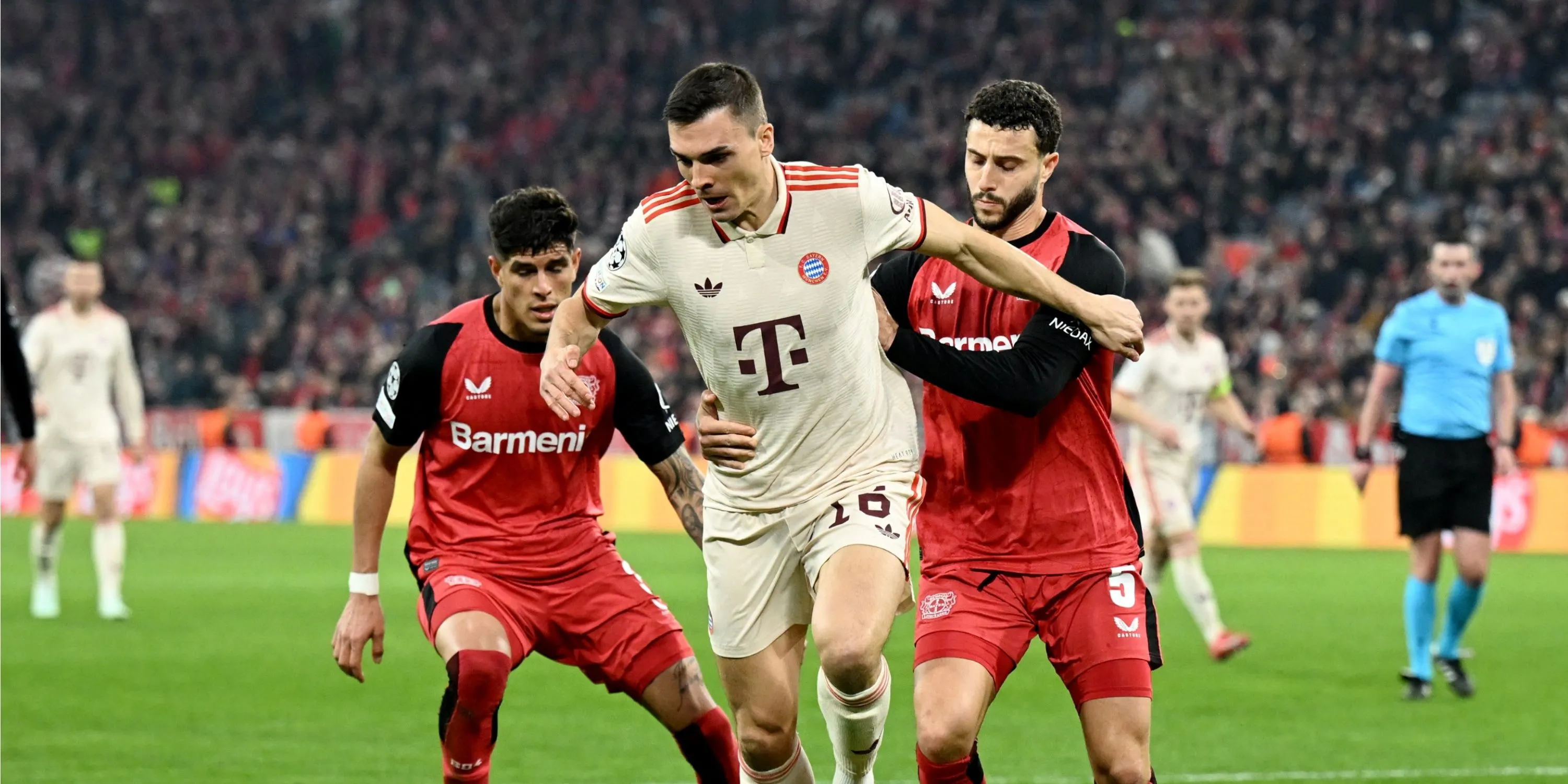 Joao Palhinha, ngôi sao tiền vệ phòng ngự đang được Tottenham theo đuổi