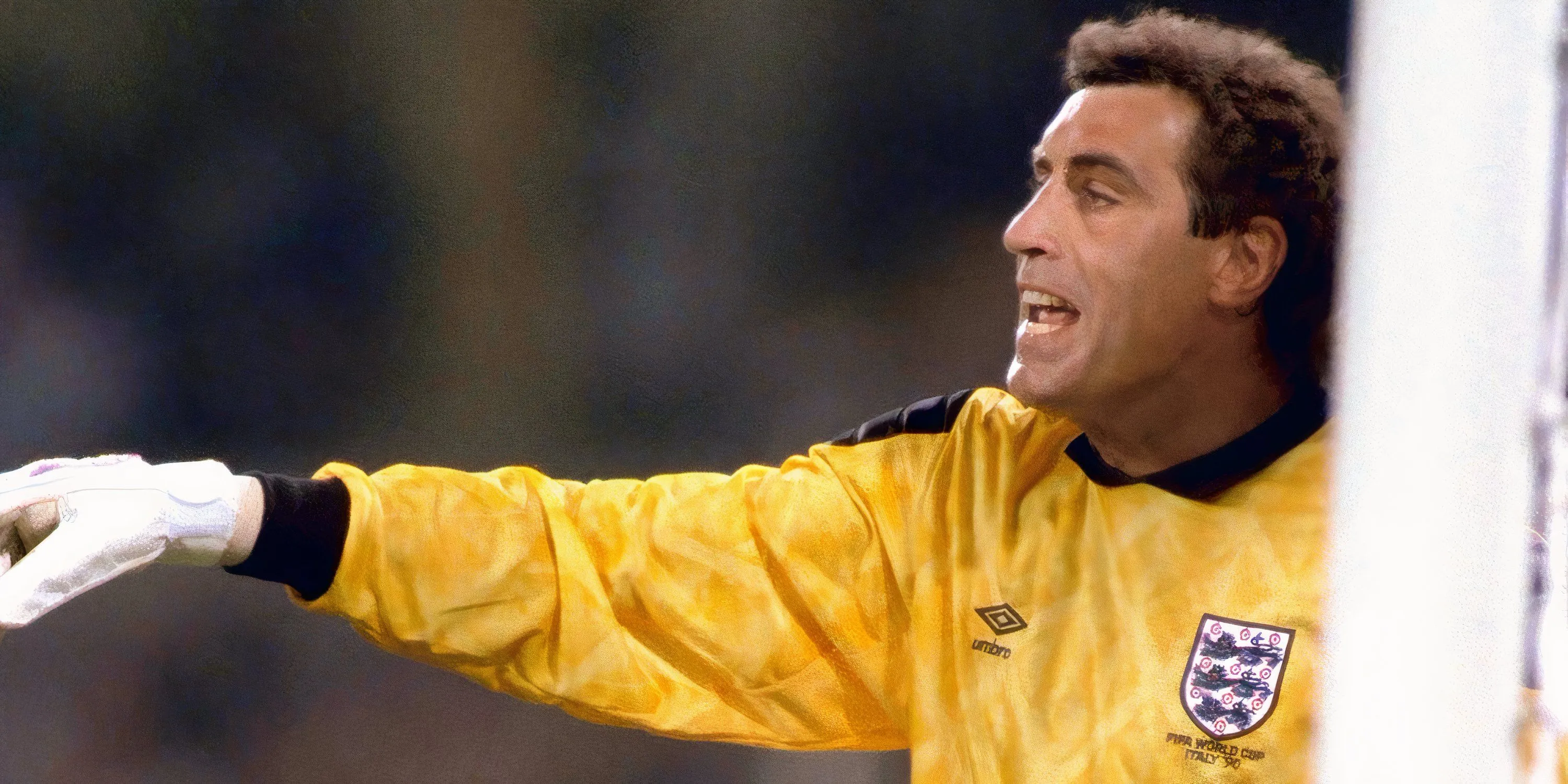 Peter Shilton, thủ môn với kỷ lục ra sân chuyên nghiệp nhiều nhất lịch sử